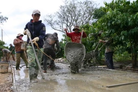 (Ảnh: Dương Giang/TTXVN)