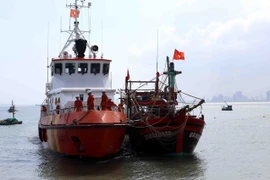 Ảnh minh họa. (Ảnh: Trần Lê Lâm/TTXVN)
