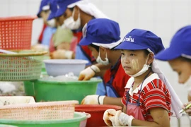 Lao động nhập cư ở Thái Lan. (Nguồn: samuitimes.com)