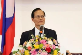 (Ảnh: Phạm Kiên/Vietnam+)