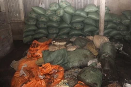 (Ảnh: Đình Quân/TTXVN)