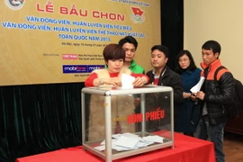 (Ảnh: Anh Tuấn/TTXVN)