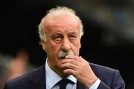 Vicente del Bosque sắp chia tay tuyển Italy? (Nguồn: AFP/Getty Images)