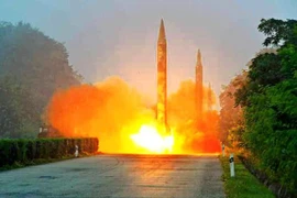 Ảnh minh họa. (Nguồn: Kyodo)