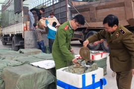 Lực lượng chức năng kiểm tra tang vật. (Ảnh: Nguyễn Hoàng/Vietnam+)