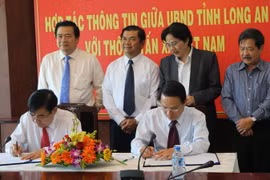 (Ảnh: Bình Giang​/TTXVN)