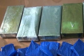 Ảnh minh họa. (Ảnh: Lê Hữu Quyết/TTXVN)