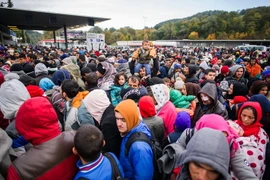 Người di cư chờ xe buýt sau khi vượt qua biên giới Áo-Slovenia. (Nguồn: AFP/TTXVN)