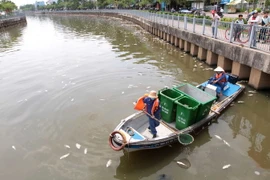 Các đội dịch vụ công ích của quận và thành phố tiến hành vớt cá chết để đảm bảo vệ sinh môi trường cho tuyến k