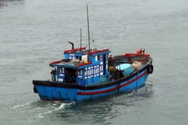 Ảnh minh họa. (Ảnh: Trần Lê Lâm/TTXVN)