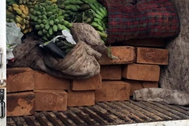 Xe chở gỗ lậu. (Ãnh minh họa: Quốc Việt/TTXVN)