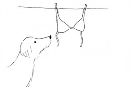 [Photo] Một chút tưởng tượng cũng có thể đem lại hạnh phúc