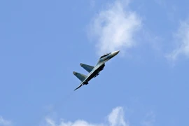 Máy bay của Nga. (Nguồn: RT)