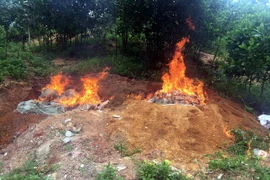 Ảnh minh họa. (Ảnh: Nguyễn Hoàng/TTXVN)