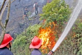 Ảnh minh họa. (Nguồn: Ảnh: Đặng Tuấn/TTXVN)