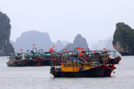 Ứng phó bão số 1: Các địa phương đảm bảo an toàn về người, tàu thuyền