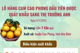 [Infographics] Xuất khẩu gần 7 tấn cam Cao Phong đầu tiên sang Anh