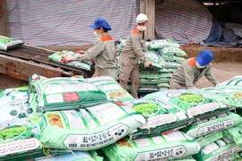 Australia không áp thuế chống bán phá giá với Amoni nitrat từ Việt Nam