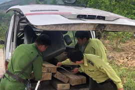 Quảng Ngãi: Liên tiếp phát hiện các xe chở gỗ lậu không có chủ