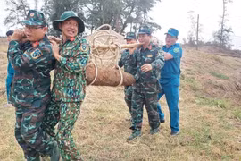 Những tiếng nổ sau chiến tranh: Nỗi đau dai dẳng, xé lòng