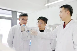 Ảnh minh họa. (Nguồn: THX)