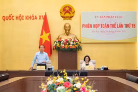 Thẩm tra dự thảo Nghị quyết của Quốc hội về việc lấy phiếu tín nhiệm