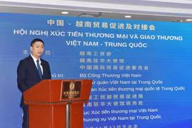 Ông Hoàng Minh Chiến, Phó Cục trưởng Cục Xúc tiến Thương mại, Bộ Công thương Việt Nam phát biểu tại hội nghị. (Ảnh: Tiến Trung/TTXVN)