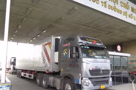 Doanh nghiệp còn gặp khó với các chính sách về xuất nhập khẩu