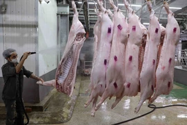 Giá thịt lợn lập đỉnh giúp cổ phiếu ngành chăn nuôi tăng mạnh