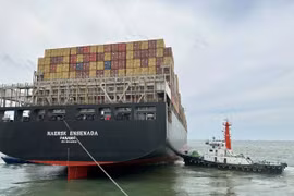 Bà Rịa-Vũng Tàu: Kịp thời cứu kéo siêu tàu container bị mắc cạn