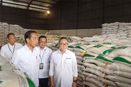 Tổng thống Indonesia Jokowi lý giải nhu cầu cần nhập khẩu gạo