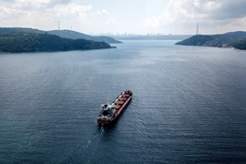 NATO-Ukraine nhóm họp, Nga tiếp tục cung cấp ngũ cốc cho châu Phi