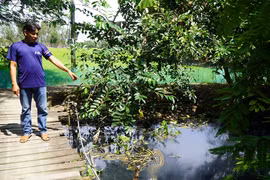Đồng Tháp: Người dân sống bên rạch Ông Ấu "kêu trời" vì nước ô nhiễm