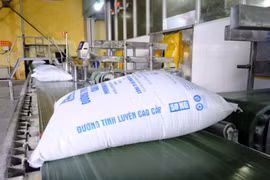 Doanh nghiệp sản xuất mía đường hưởng lợi nhờ giá tăng cao