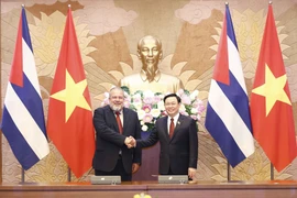 Chuyên gia Cuba: Cuộc hội ngộ giữa những người anh em Việt Nam-Cuba