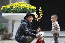 Hình ảnh thủ đô Hà Nội bình dị trong chiều 30 Tết Nguyên đán