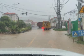 Trung Quốc: Bão Haikui khiến 3 người mất tích, thiệt hại nhiều tài sản