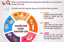 Bộ Y tế yêu cầu tăng cường phòng, chống cúm gia cầm lây sang người