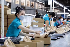 Doanh nghiệp Thành phố Hồ Chí Minh nỗ lực vượt khó