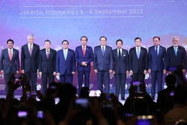 Khuyến khích phát triển ASEAN bền vững thông qua AIPF
