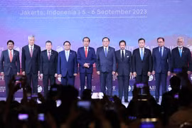 Khuyến khích phát triển ASEAN bền vững thông qua AIPF