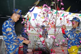 [Photo] Những ngày Xuân đặc biệt của người lính Vùng 2 Hải quân