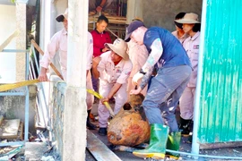 Đội Xử lý Bom mìn Lưu động của MAG tại Quảng Bình phối hợp với Bộ Chỉ huy Quân sự tỉnh Quảng Bình xử lý, di dời quả bom. (Ảnh: TTXVN phát)