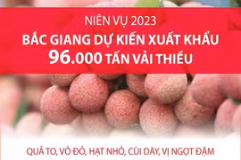 Bắc Giang dự kiến xuất khẩu 96.000 tấn vải thiều trong niên vụ 2023