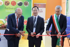 Cơ hội quảng bá rau quả, gia vị Việt tại Hội chợ quốc tế Macfrut 2023