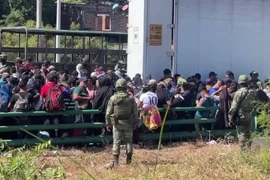 Mexico phát hiện 269 người trốn trong một chiếc xe đầu kéo