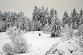 Tuyết phủ trắng xóa trên núi Kahler Asten ở gần Winterberg, Đức, ngày 1/12/2023. (Ảnh: AFP/TTXVN)