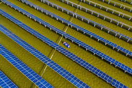 IEA: Sản lượng điện tái tạo sẽ tăng kỷ lục trong năm 2023