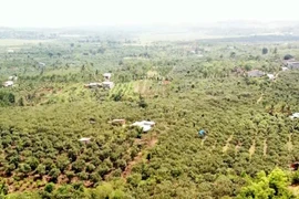 Phê duyệt dự án xây dựng hồ thủy lợi lớn nhất tỉnh Đắk Nông