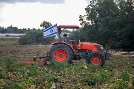 Một nhân viên tình nguyện lái máy cày tại một trang trại miền Trung Israel. (Ảnh: Vũ Hội/TTXVN)